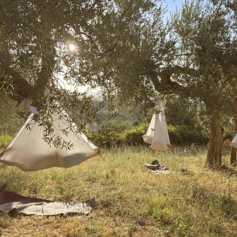 Esperienze In Giardino 1