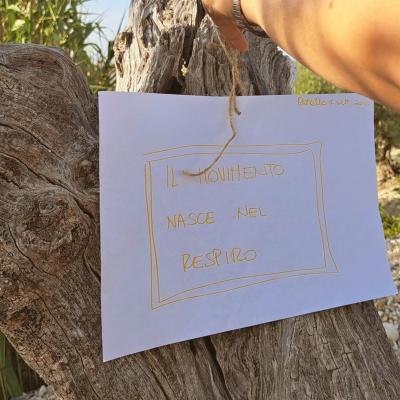 Seminari In Giardino 6